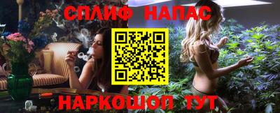 гашик Дубна