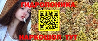 гашик Дубна