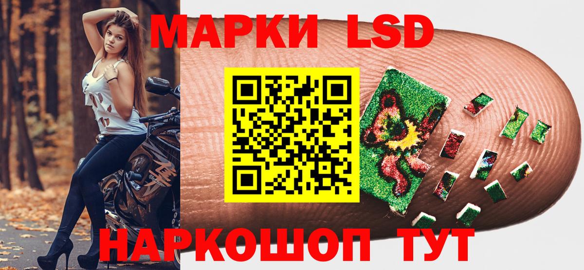 Кизилюрт  Наркотические марки 1500мкг  Наркотические марки 1500мкг  Вход с VPN 