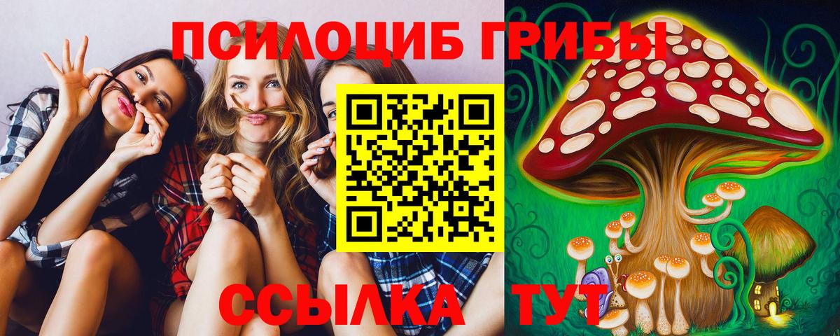 Галлюциногенные грибы Cubensis  Вход с VPN  Кизилюрт 